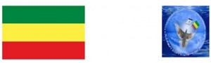 ታላቅ ሕዝባዊ የስብሰባ ጥሪ