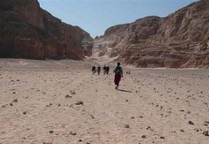 Explaining the Ethiopian outmigration: Incentives or Constraints?