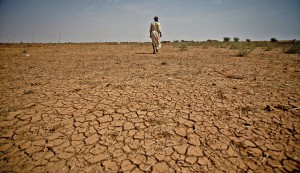 FAMINE, STARVATION AND DEATH IN ETHIOPIA RENAMED BY ITS GOVERNMENT AS “FOOD INSECURITY”