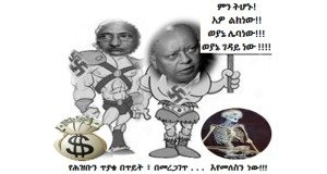 Did Seyoum Mesfin and Abay Tsehaye Mastermind behind the Stampede?