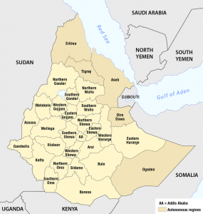 ወያኔ እንዲህ እያሰበ መሆኑ ጭምጭምታ ተሰማ፤ ዕውነት ከሆነ ጥቅምና ጉዳቱ ምን ይሆን?