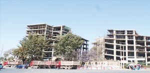 አድማሱ “ዛፍ” በቆረጠበት ጊዜ – (የዩኒቨርሲቲው ሥነ ውበታዊ ክስመት)