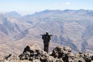 የነፃነት ኃይሎች ጥቃት ከዳር ወደ መሀል!