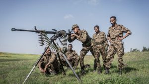 እያፈገፈገ ያለውን ሽፍታ የሚመራው ፃድቃን ጦርነቱ “በቀናት፣ ግፋ ቢል በሳምንታት ይጠናቀቃል” አለ