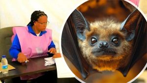 እንደ ሌሊት ወፏ የሚንቀሳቀሰው ኢህአፓ/ትብብር