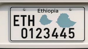 የታርጋ ጫጫታ