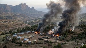 በራያና ሰሜን ወሎ በተደረገ የድሮን ጥቃት፤ ከ270 በላይ ታጣቂዎች ተገደሉ