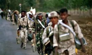 ከትህነግ ጎን የተሰለፉ ከ2,000 በላይ የሻዕቢያ ታጣቂዎች በርካታዎቹ ተደመሰሱ