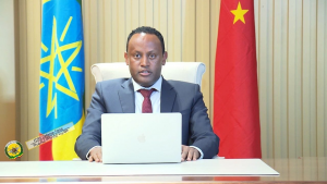 በትግራይ በወራት ጊዜ ውስጥ ክልላዊ ምርጫ ለማካሄድ ዝግጅት እየተደረገ ነው
