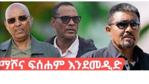 በጆን መዲድ መማረክ አደረጃጀቱ እየተፈረካከሰ በመሆኑ እነ ወዲ እምበይተይ፣ ምግበይ፣ ቀጣዮች ሊሆኑ ይችላሉ